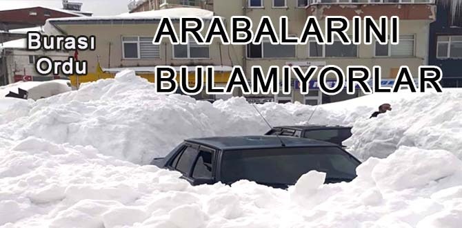 Arabalarını Bulamıyorlar