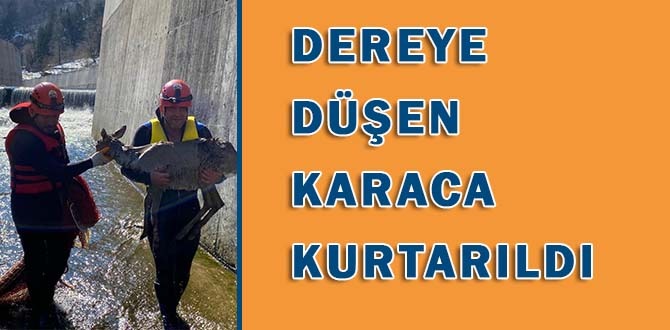 Dereye Düşen Karaca Kurtarıldı