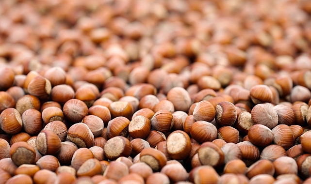 FERRERO, SÜRDÜRÜLEBİLİR FINDIK İÇİN KAYDETTİĞİ GÜÇLÜ İLERLEMEYİ VE YENİ DÖNEM HEDEFLERİNİ AÇIKLADI 