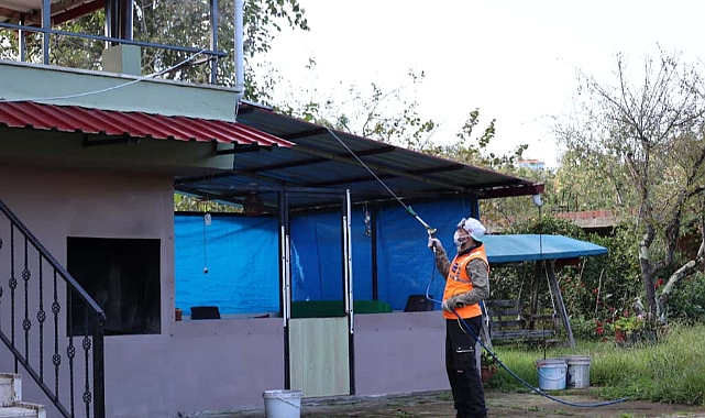 ARSİN’DE KOKARCA İLE  YOĞUN MESAİ SÜRÜYOR