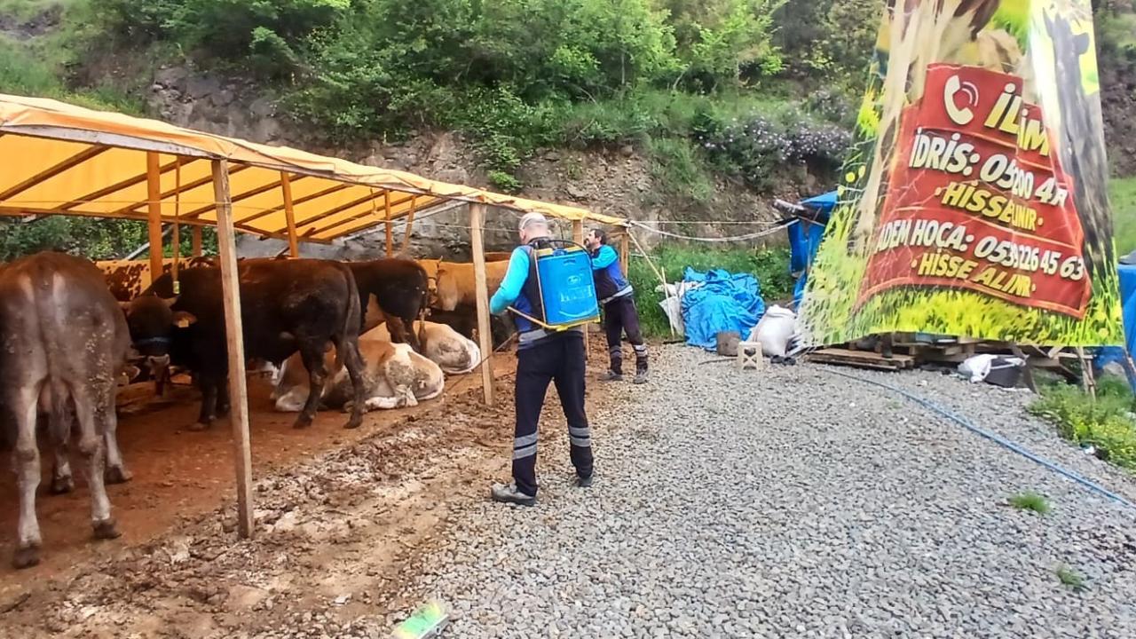 BÜYÜKŞEHİR’DEN KURBAN ALANLARINDA HİJYEN SEFERBERLİĞİ