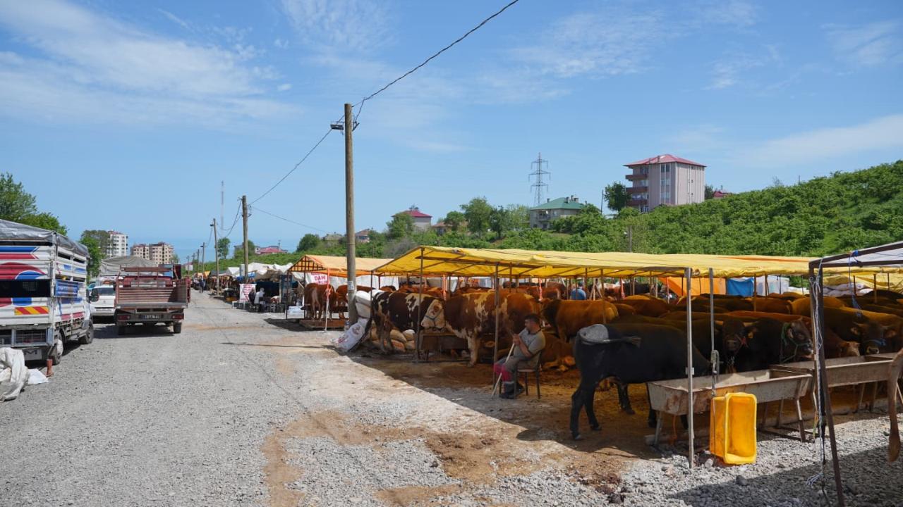 ORTAHİSAR’DA KURBAN HAZIRLIKLARI TAMAMLANDI